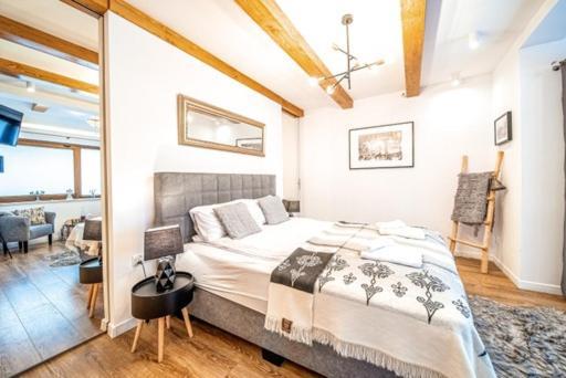 Apartament Kamieniec 扎科帕内 外观 照片